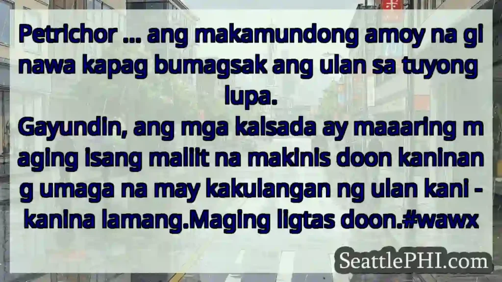 Petrichor ... ang makamundong amoy na ginawa
