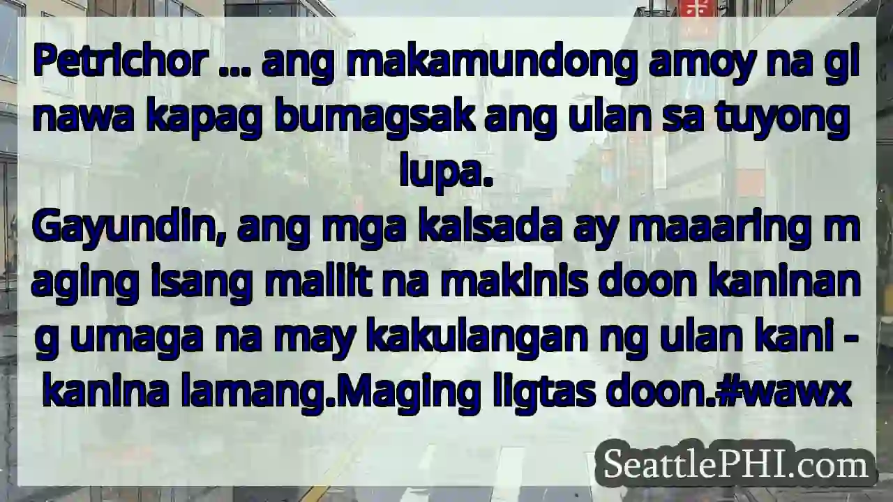 Petrichor ... ang makamundong amoy na ginawa