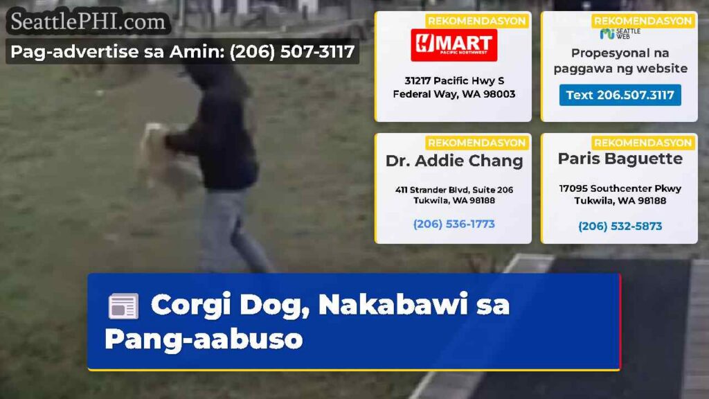 Corgi Dog, Nakabawi sa Pang-aabuso