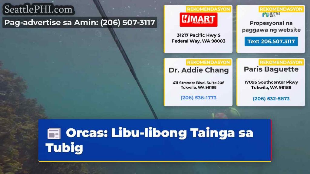Orcas: Libu-libong Tainga sa Tubig