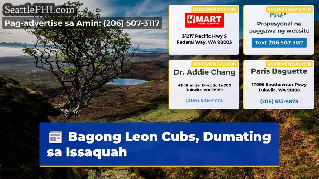 Bagong Leon Cubs, Dumating sa Issaquah