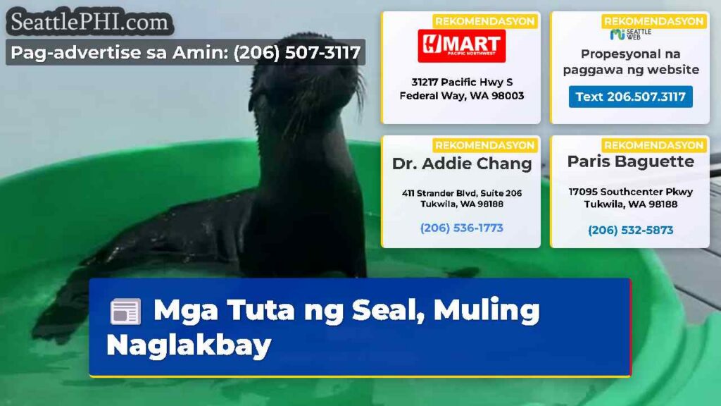 Mga Tuta ng Seal, Muling Naglakbay