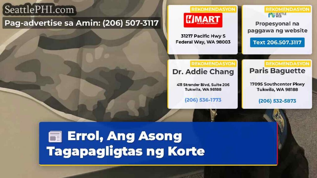 Errol, Ang Asong Tagapagligtas ng Korte