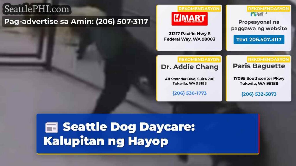 Seattle Dog Daycare: Kalupitan ng Hayop