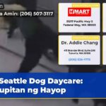 Seattle Dog Daycare Kalupitan ng Hayop