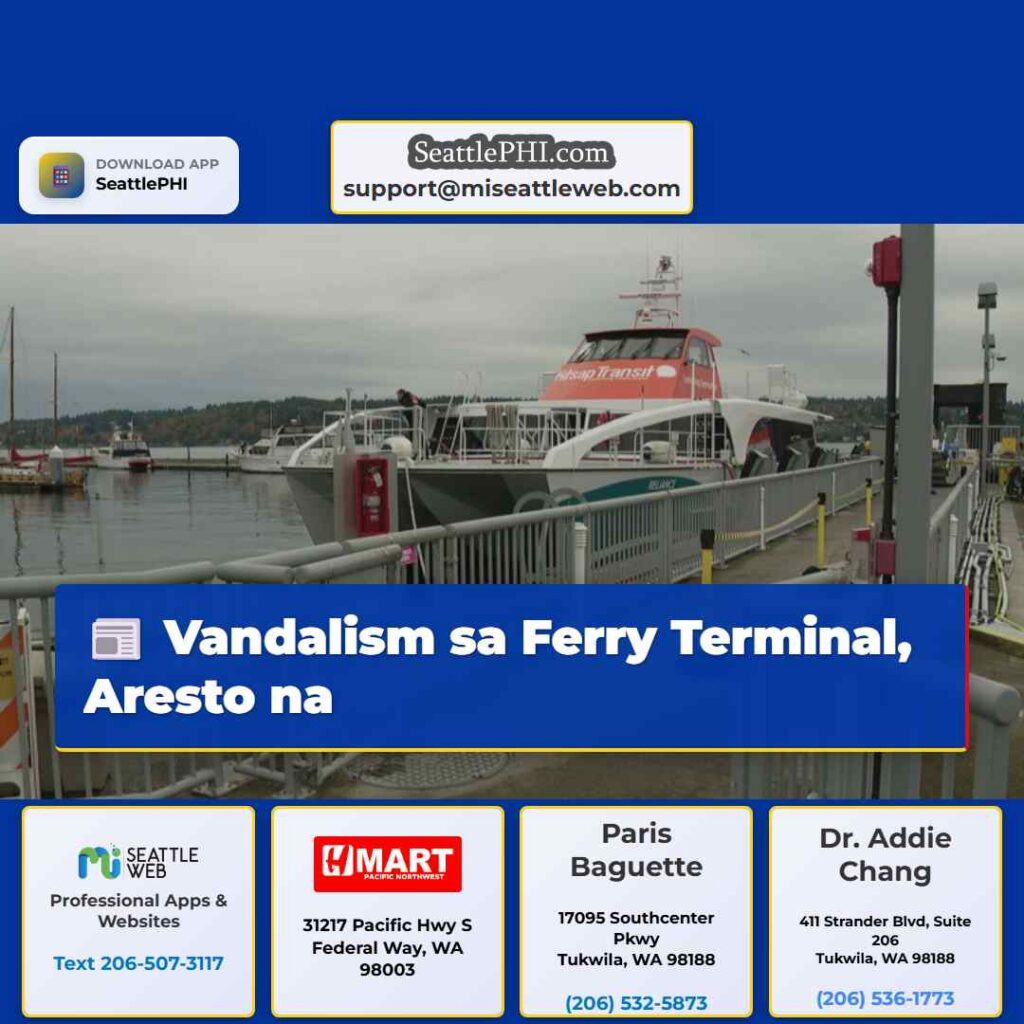 Vandalism sa Ferry Terminal, Aresto na