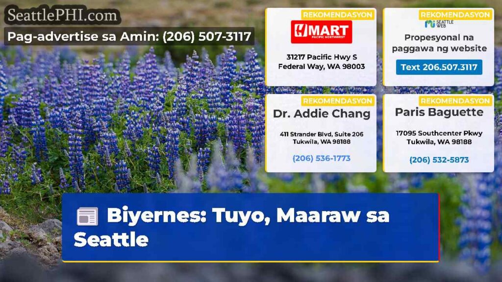 Biyernes: Tuyo, Maaraw sa Seattle