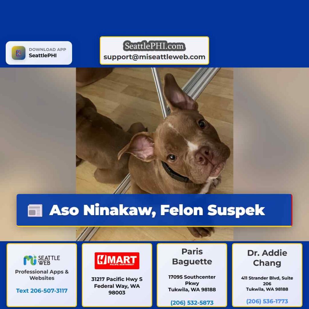 Aso Ninakaw, Felon Suspek