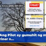Ang Pilot ay gumuhit ng mga mariner n…
