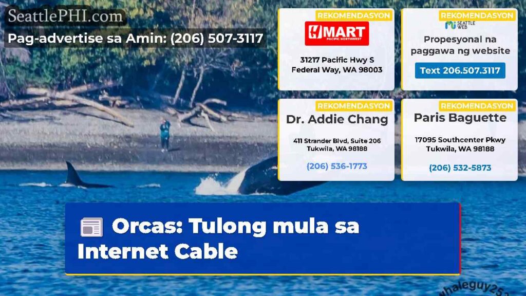 Orcas: Tulong mula sa Internet Cable