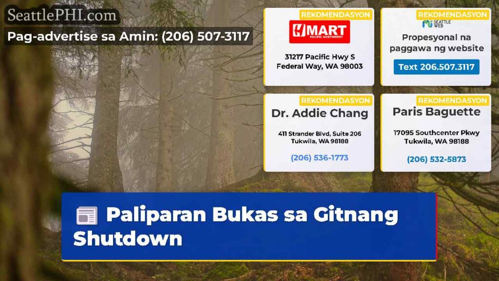 Paliparan Bukas sa Gitnang Shutdown