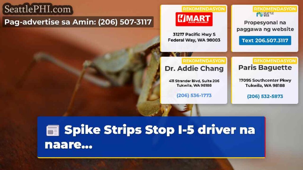 Spike Strips Stop I-5 driver na naare...