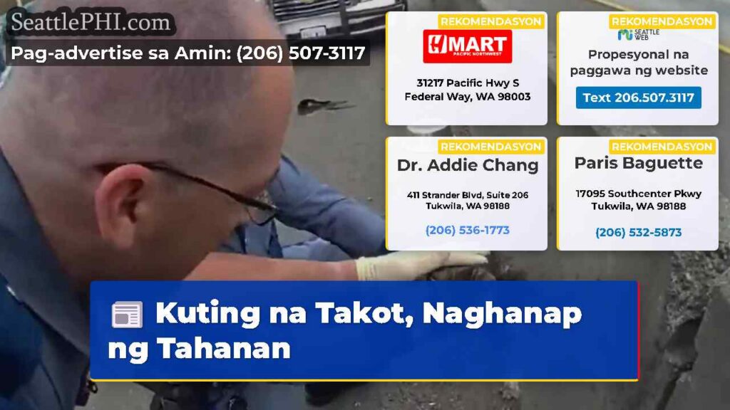 Kuting na Takot, Naghanap ng Tahanan