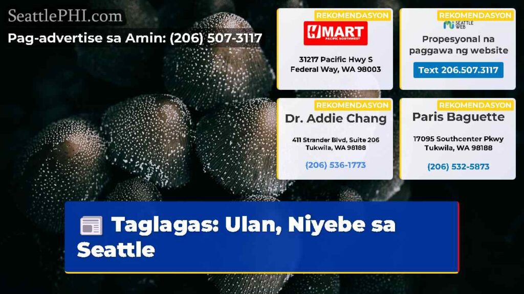 Taglagas: Ulan, Niyebe sa Seattle