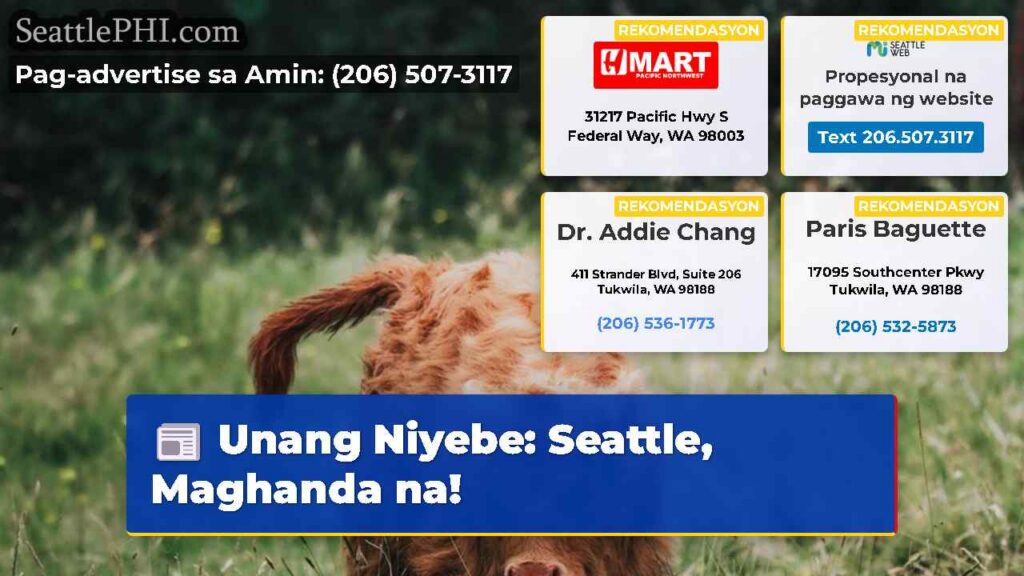 Unang Niyebe: Seattle, Maghanda na!