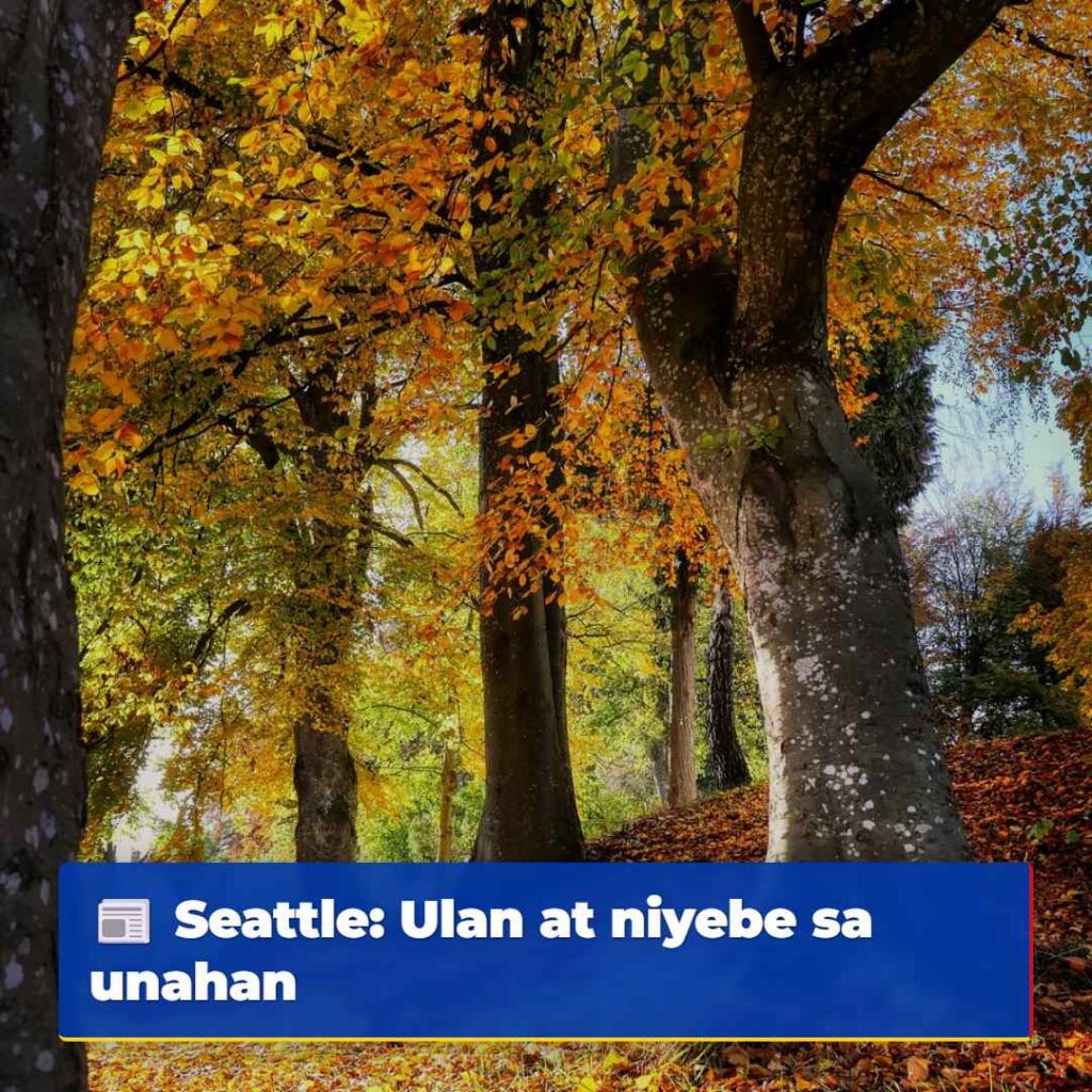 Seattle: Ulan at niyebe sa unahan