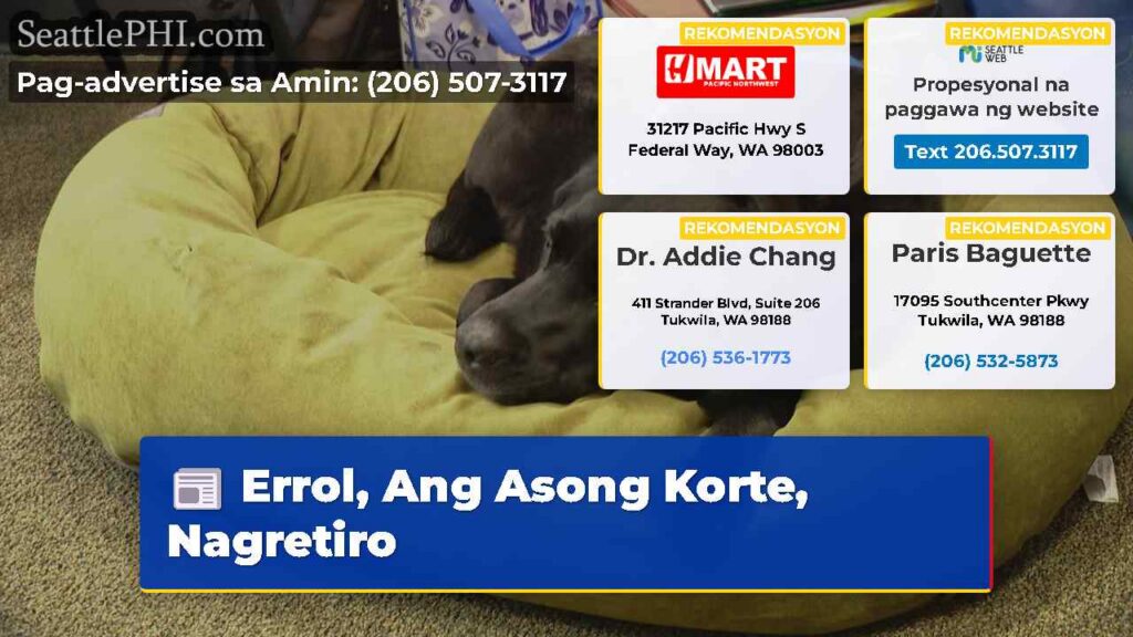 Errol, Ang Asong Korte, Nagretiro