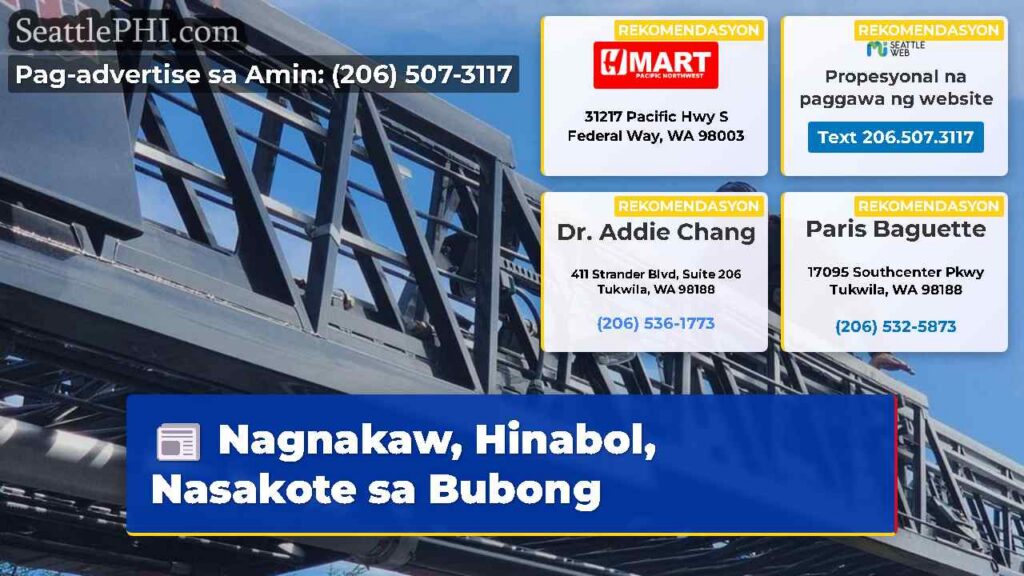 Nagnakaw, Hinabol, Nasakote sa Bubong