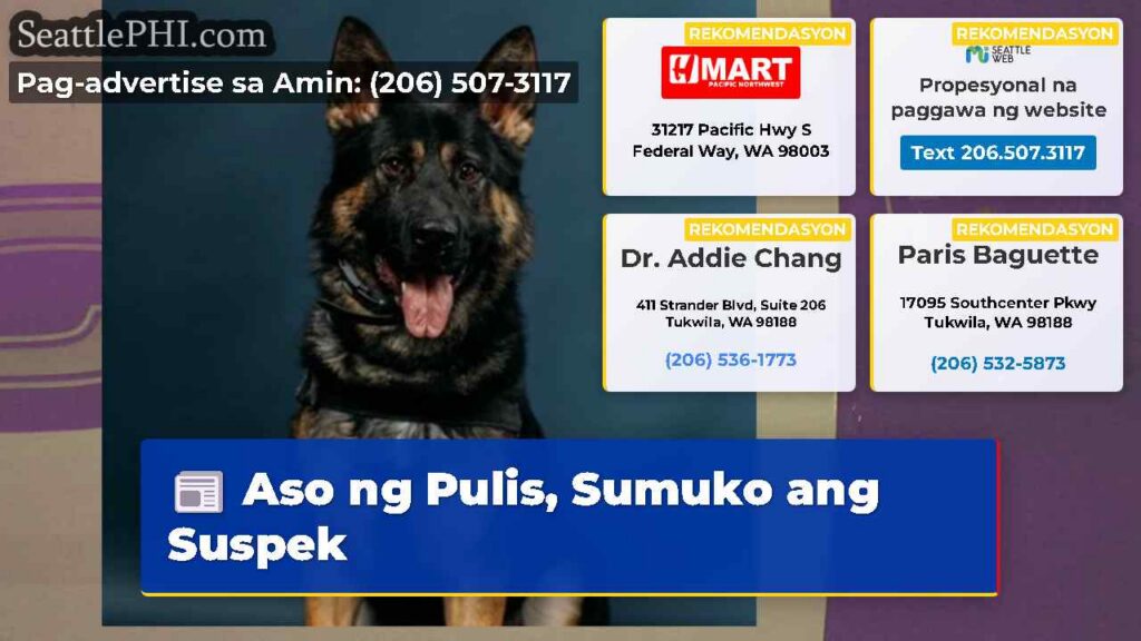 Aso ng Pulis, Sumuko ang Suspek