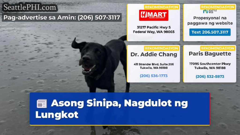 Asong Sinipa, Nagdulot ng Lungkot