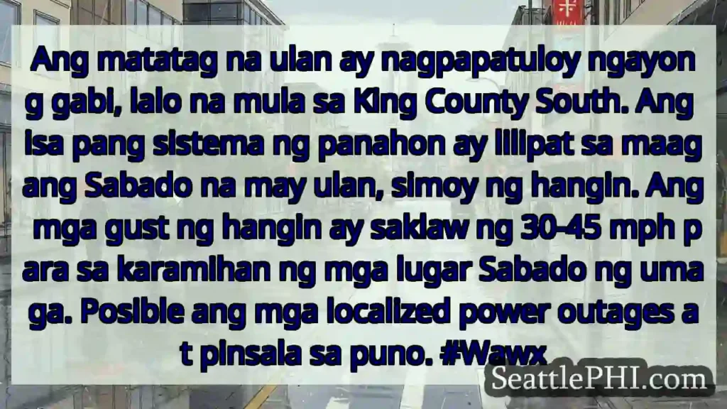 Ang matatag na ulan ay nagpapatuloy ngayong gabi,