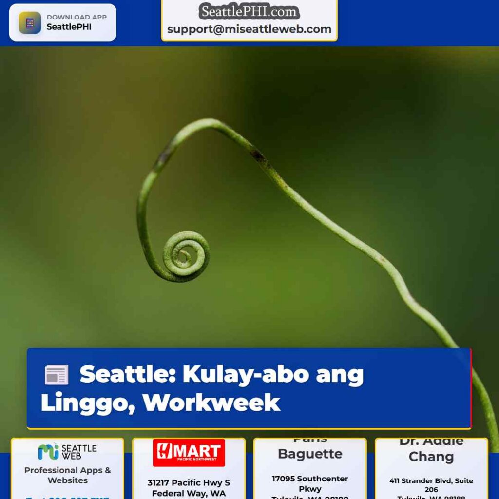 Seattle: Kulay-abo ang Linggo, Workweek
