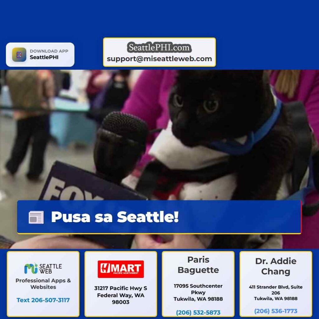 Pusa sa Seattle!