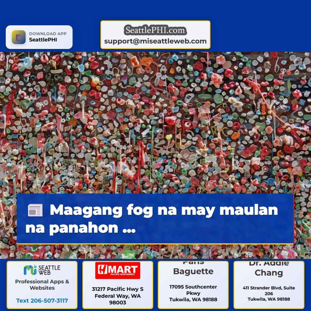 Maagang fog na may maulan na panahon ...