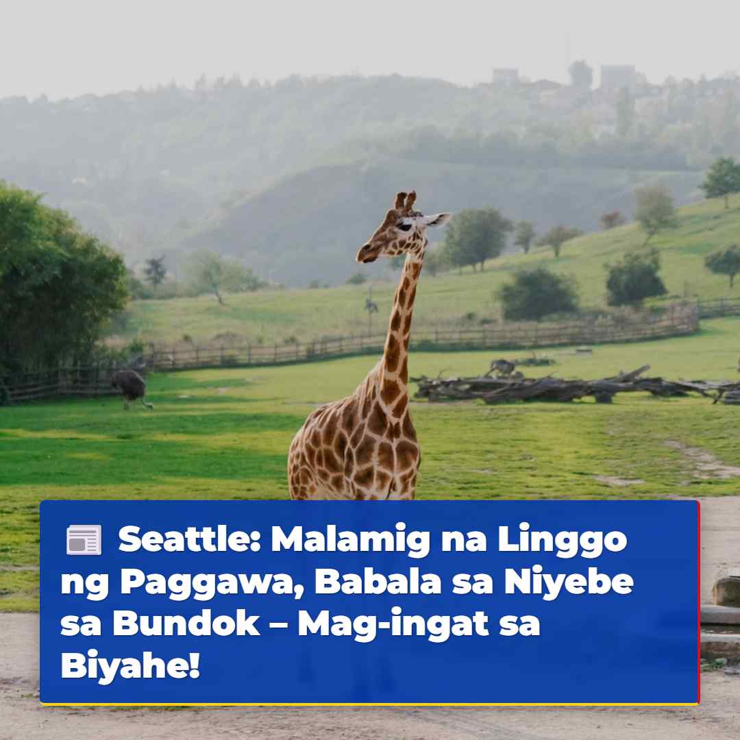 Seattle: Malamig na Linggo ng Paggawa, Babala sa