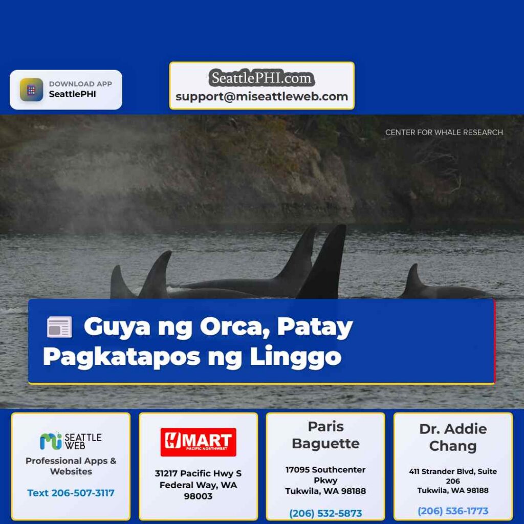 Guya ng Orca, Patay Pagkatapos ng Linggo