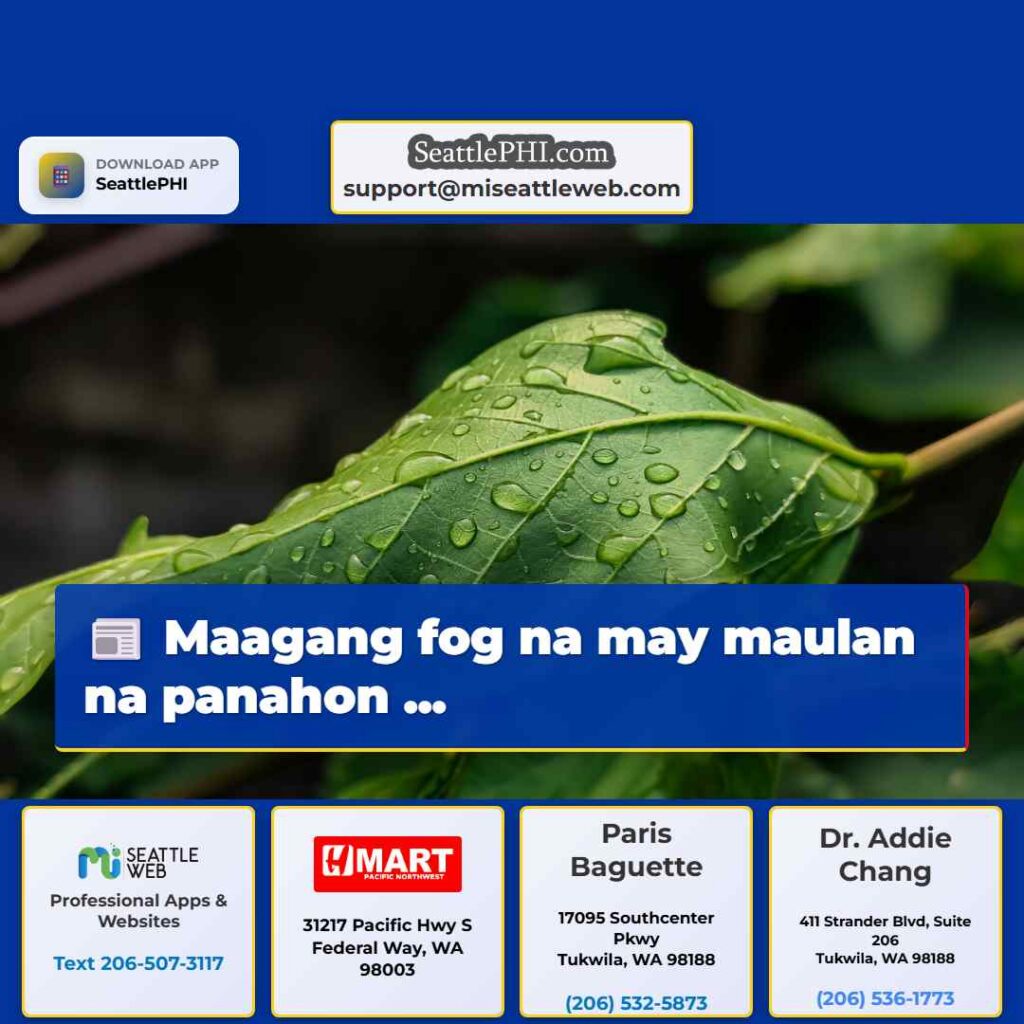 Maagang fog na may maulan na panahon ...