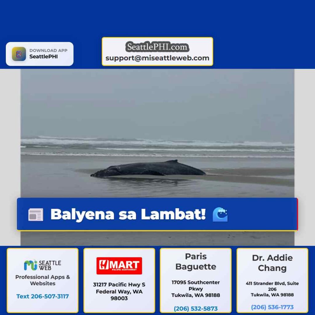 Balyena sa Lambat! 🌊