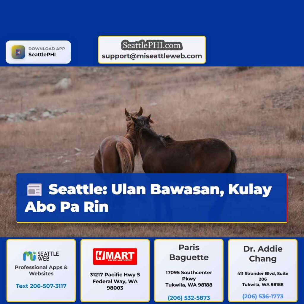 Seattle: Ulan Bawasan, Kulay Abo Pa Rin