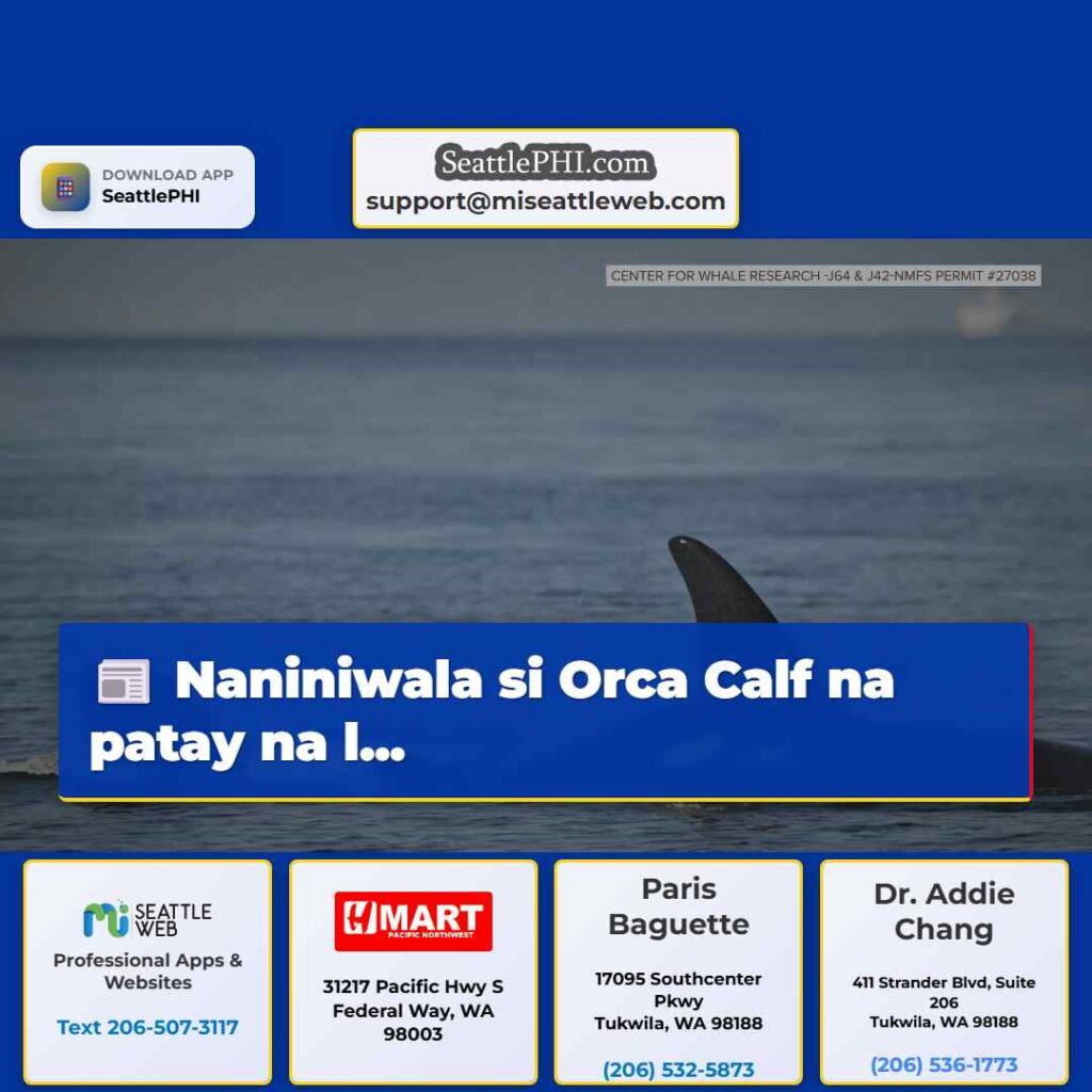 Naniniwala si Orca Calf na patay na l...