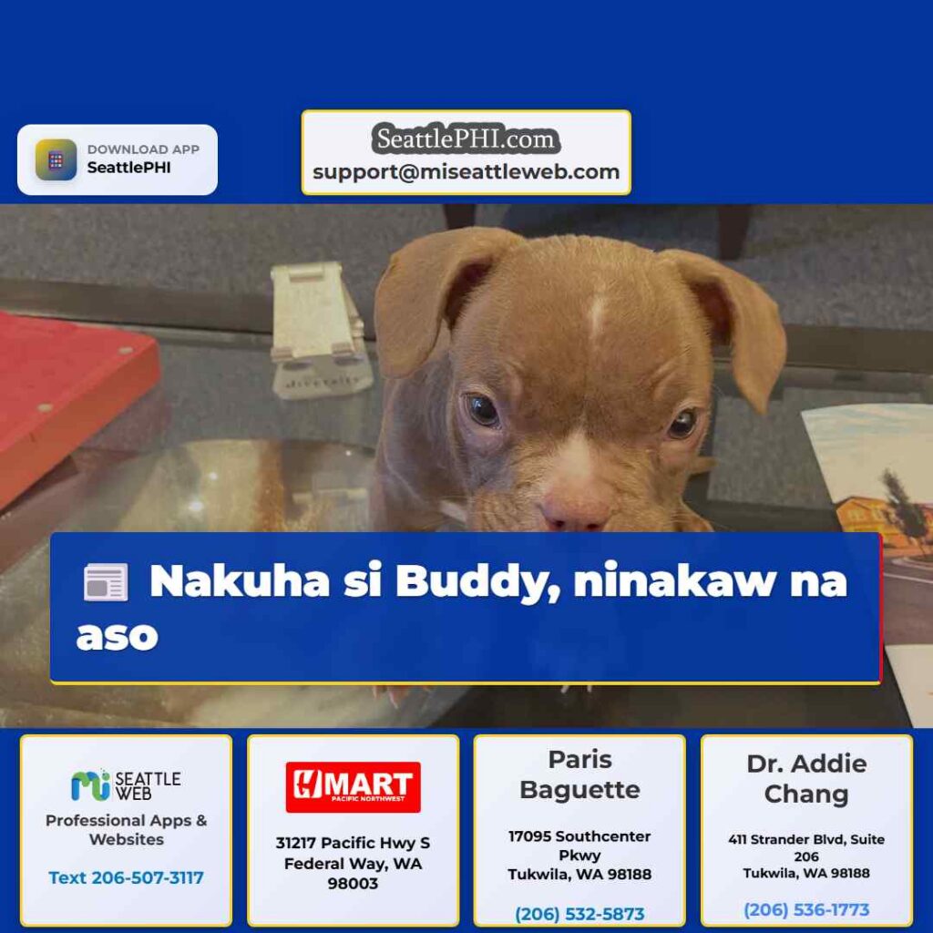 Nakuha si Buddy, ninakaw na aso