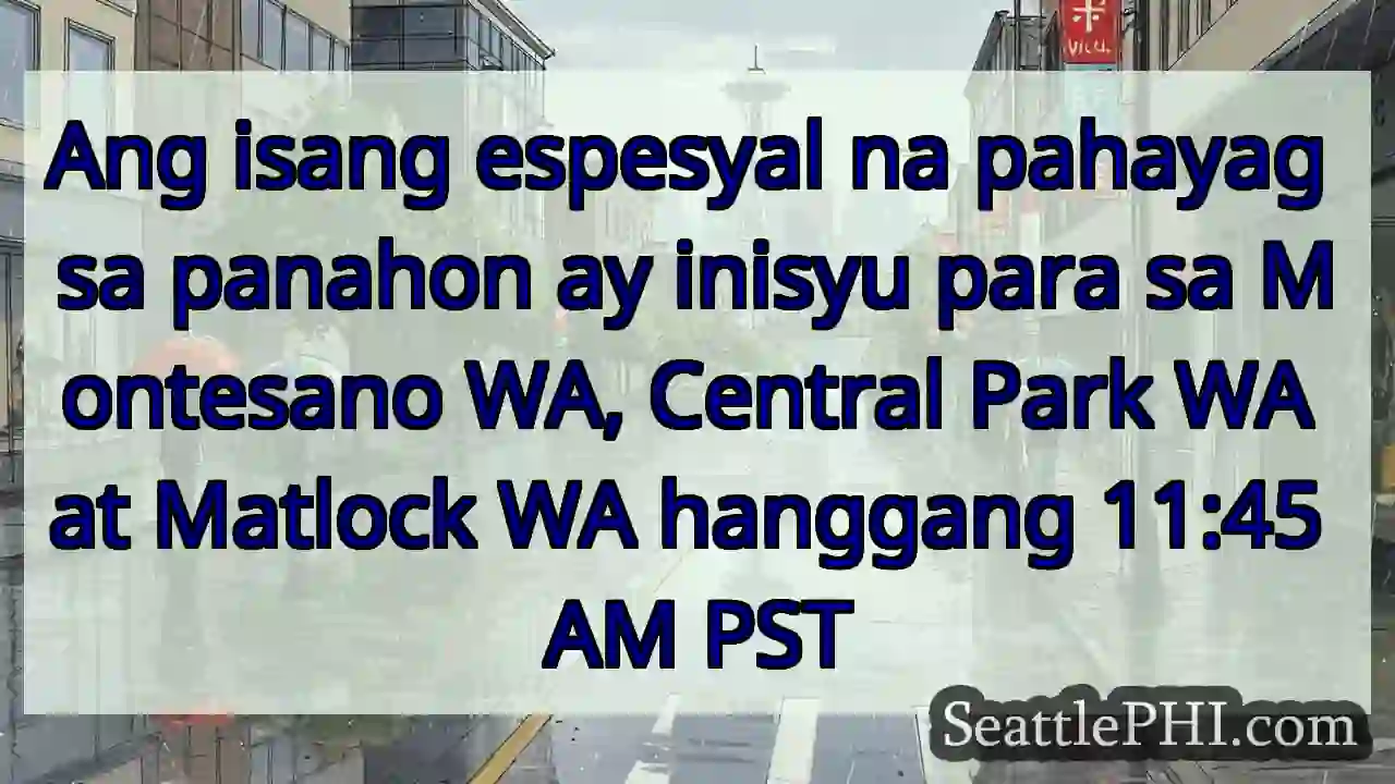 Ang isang espesyal na pahayag sa panahon ay