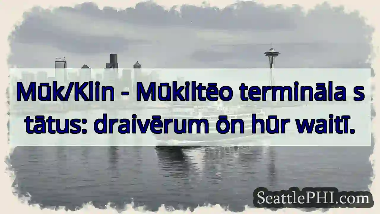 Hūr waitī: draivērum stātus.