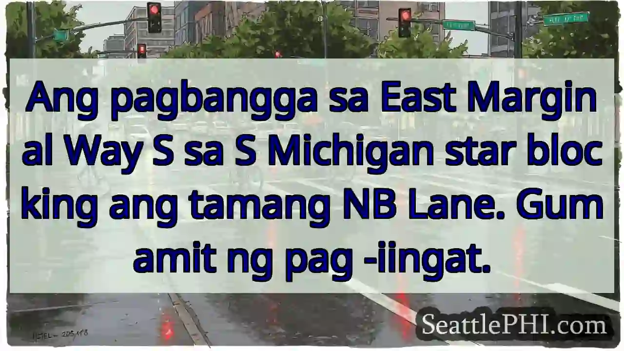 Ang pagbangga sa East Marginal Way S sa S