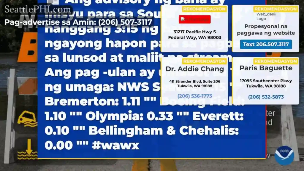 Ang advisory ng baha ay inisyu para sa South