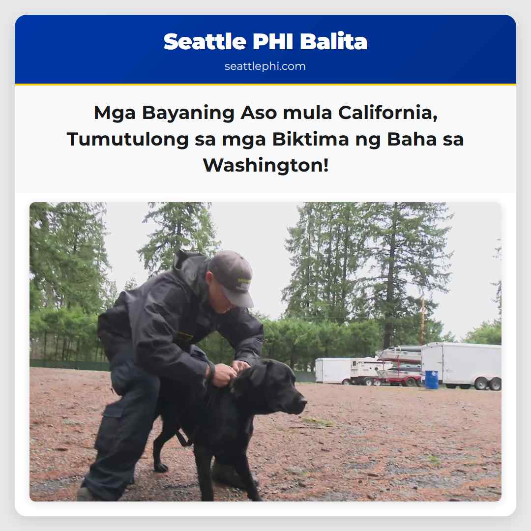 Mga Bayaning Aso mula California, Tumutulong sa