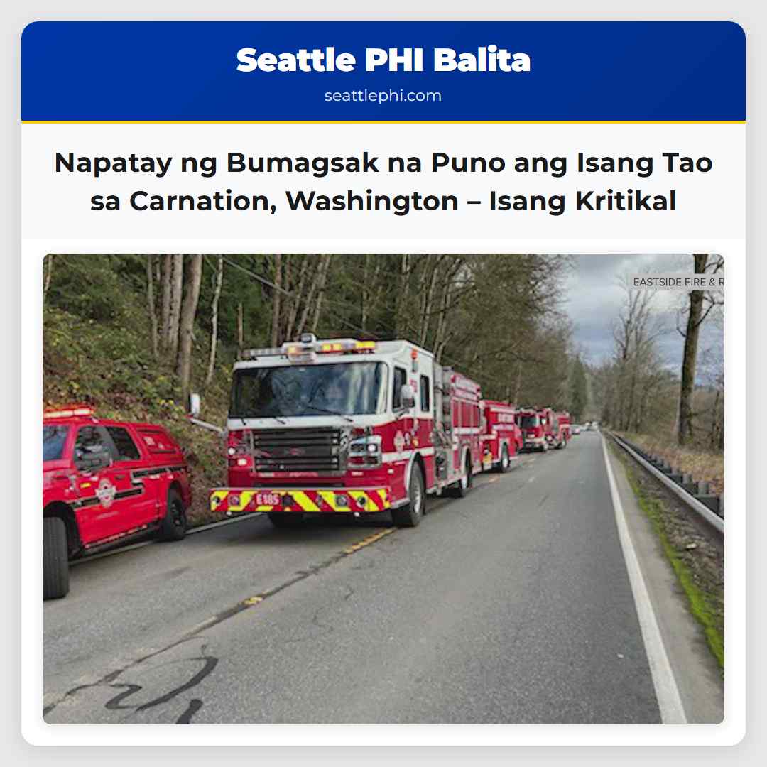 Napatay ng Bumagsak na Puno ang Isang Tao sa
