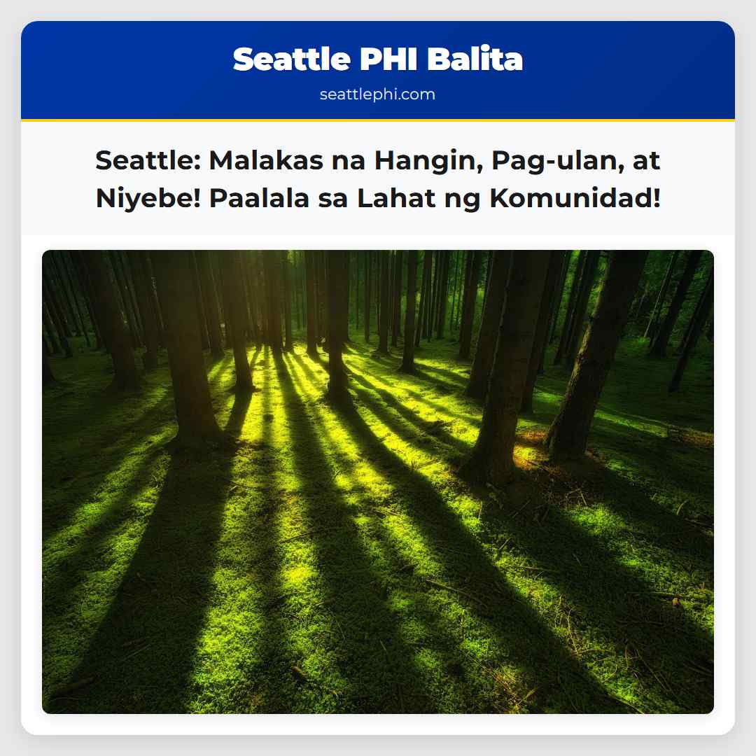 Seattle: Malakas na Hangin, Pag-ulan, at Niyebe!