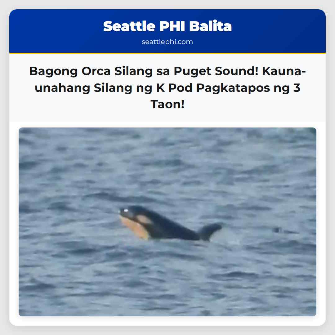 Bagong Orca Silang sa Puget Sound! Kauna-unahang