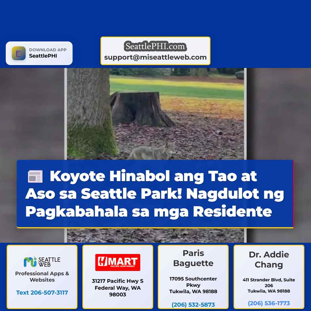 Koyote Hinabol ang Lalaki at mga Aso sa Volunteer Park Seattle