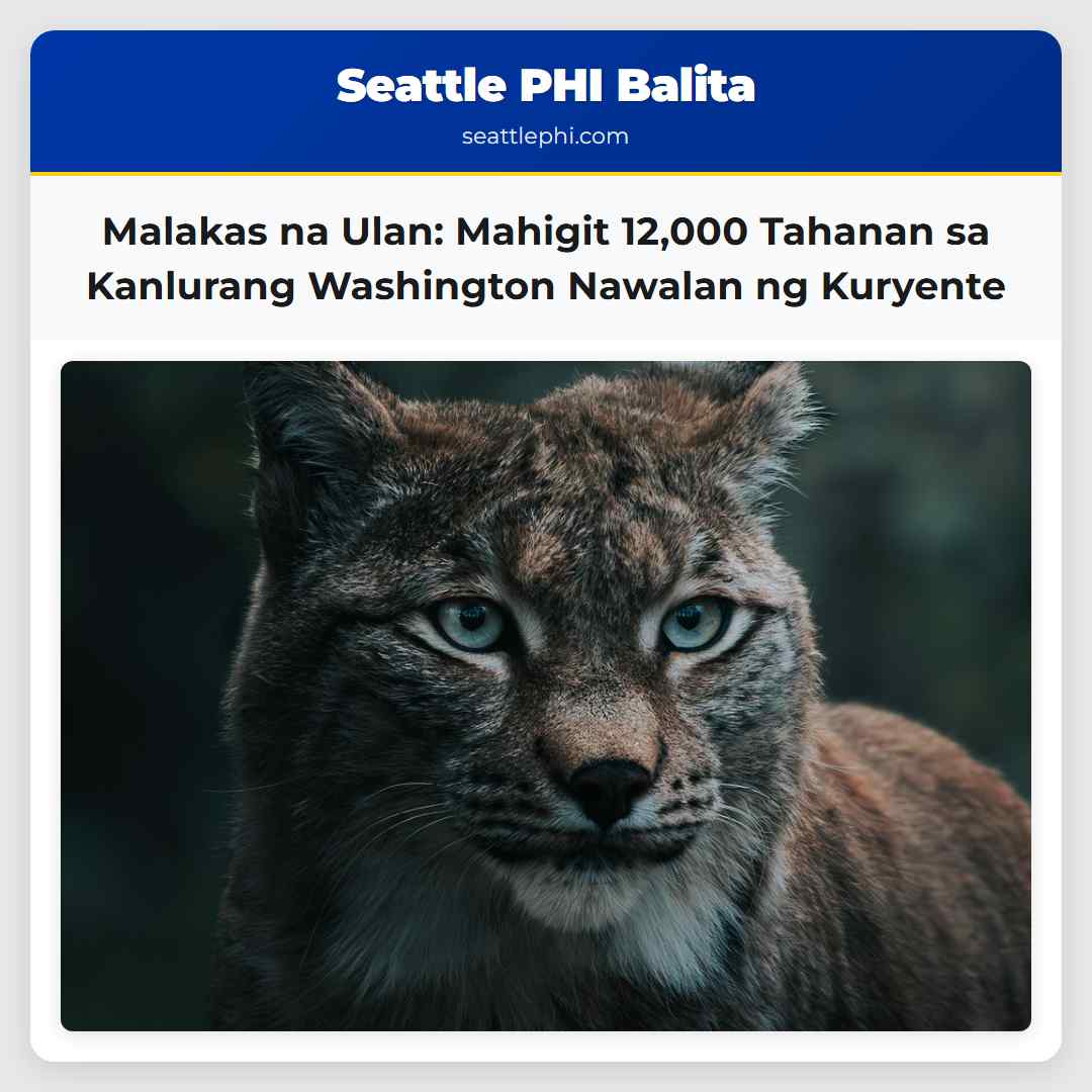Malakas na Ulan: Mahigit 12,000 Tahanan sa