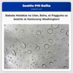 Babala sa Malakas na Ulan Baha at Pagguho ng Lupa sa Seattle at Kanlurang Washington