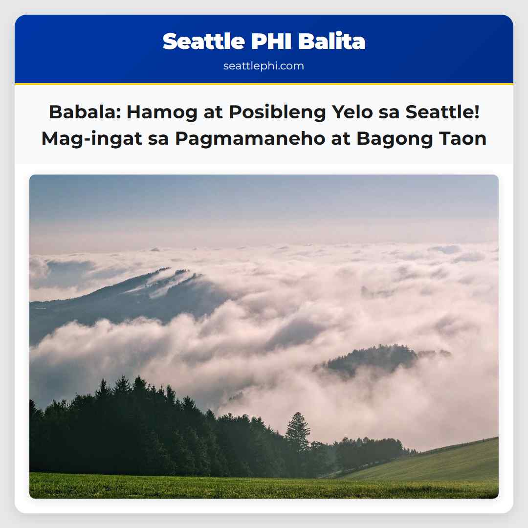 Babala: Hamog at Posibleng Yelo sa Seattle!