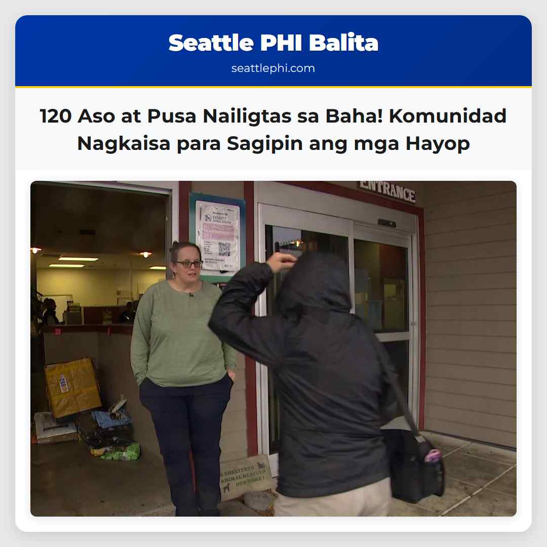 120 Aso at Pusa Nailigtas sa Baha! Komunidad