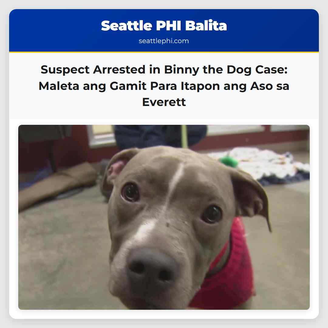 Naaresto ang Suspek sa Paggamit ng Maleta para Itapon ang Aso sa Everett Lumalaban sa Buhay si Binny