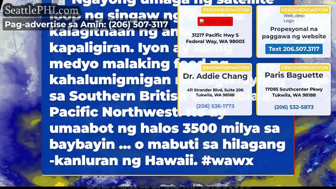 Ngayong umaga ng satellite loop ng singaw ng